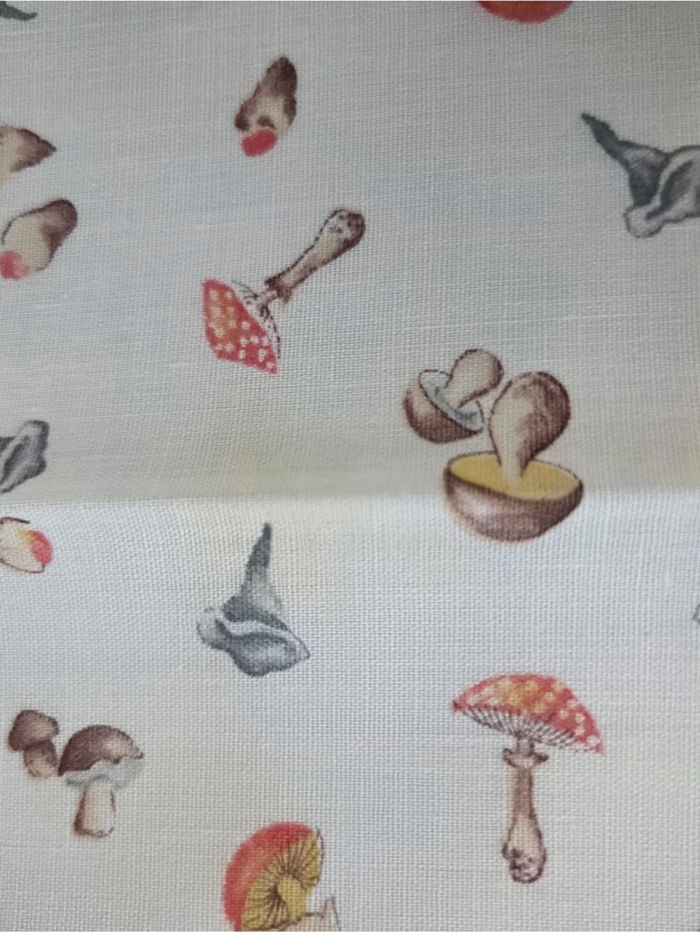 Vintage Mushroom Cottage Core Napkins Set Of 10 Washable